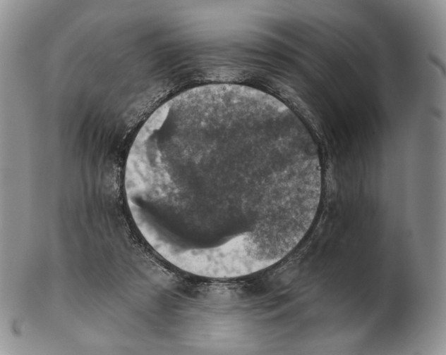 X0000102770305200809021035