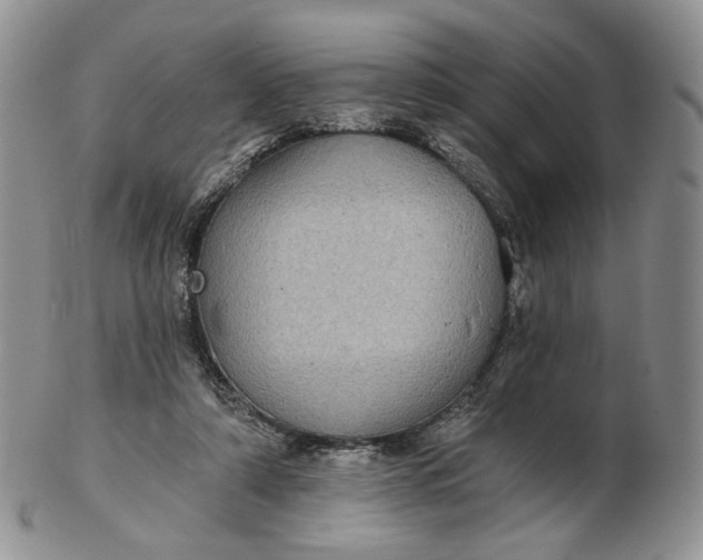 X0000102770306200809021035