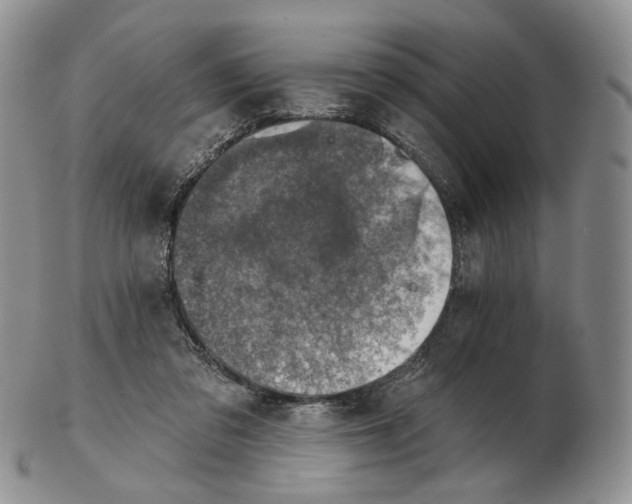 X0000102770309200809021035