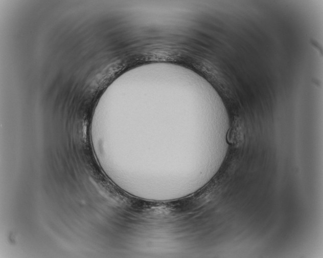 X0000102770310200809021035