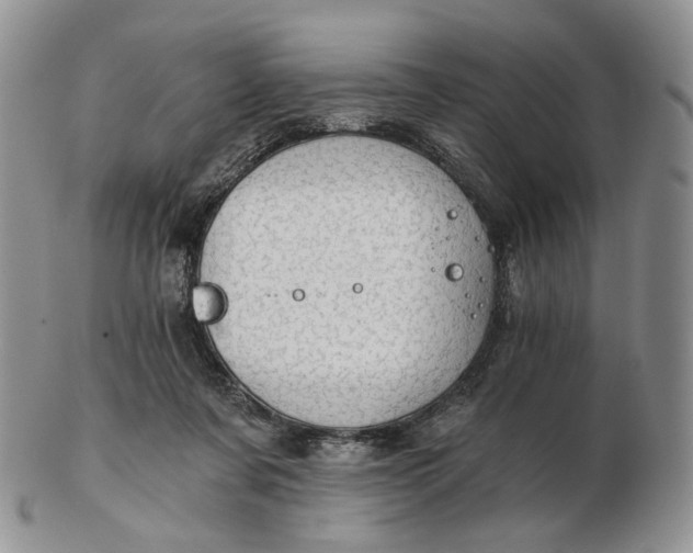 X0000102770311200809021035