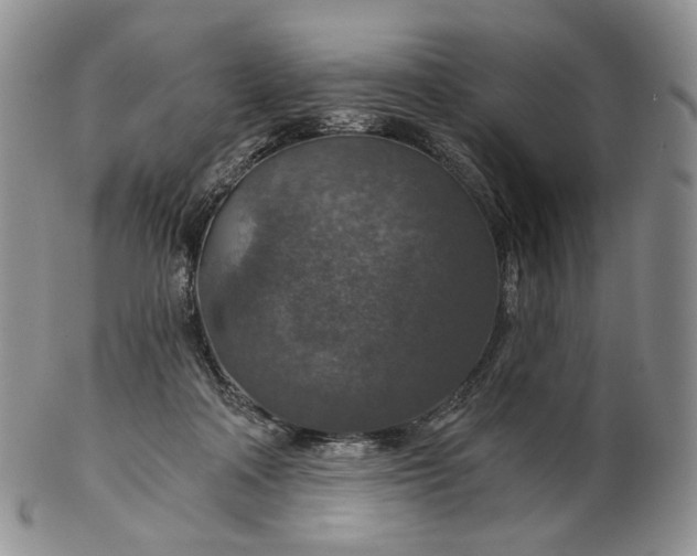 X0000102770314200809021035