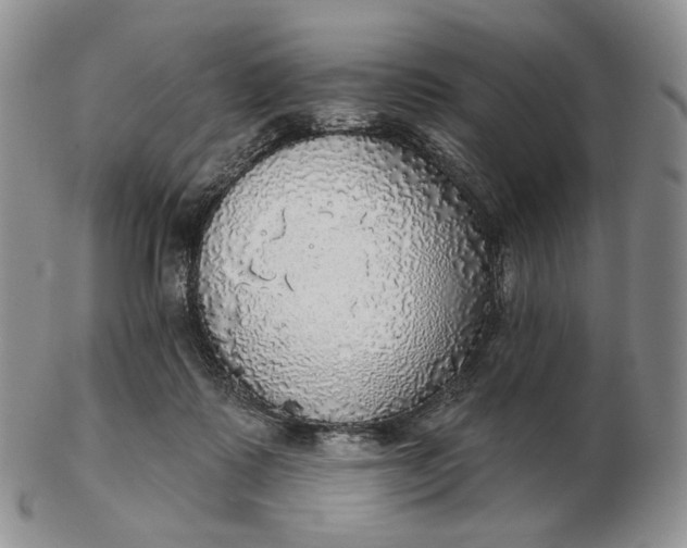 X0000102770315200809021035