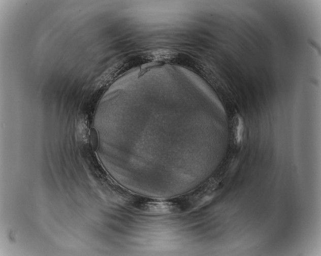 X0000102770316200809021035