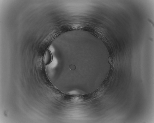 X0000102770319200809021035