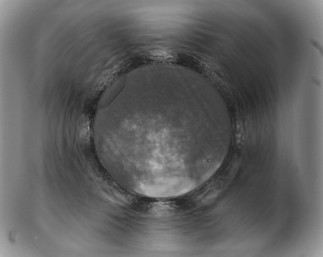 X0000102770320200809021035