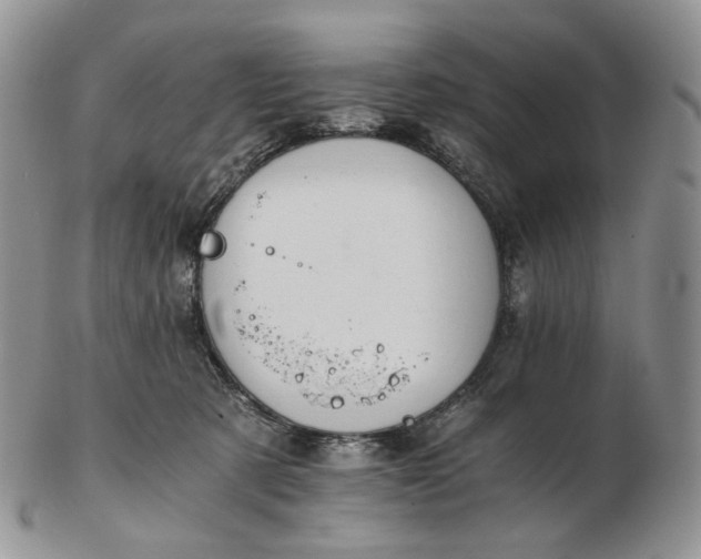 X0000102770321200809021035