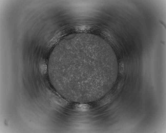 X0000102770324200809021035