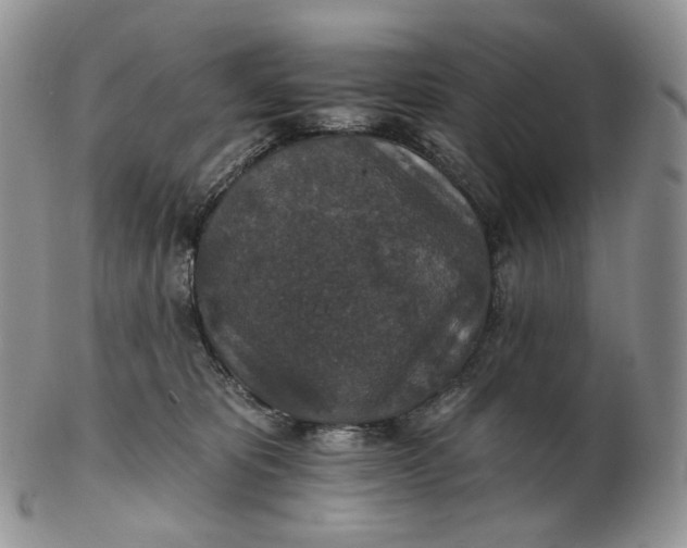 X0000102770325200809021035