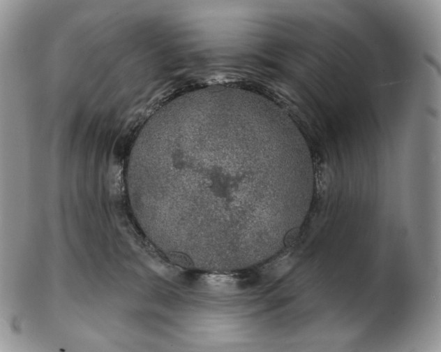 X0000102770327200809021035