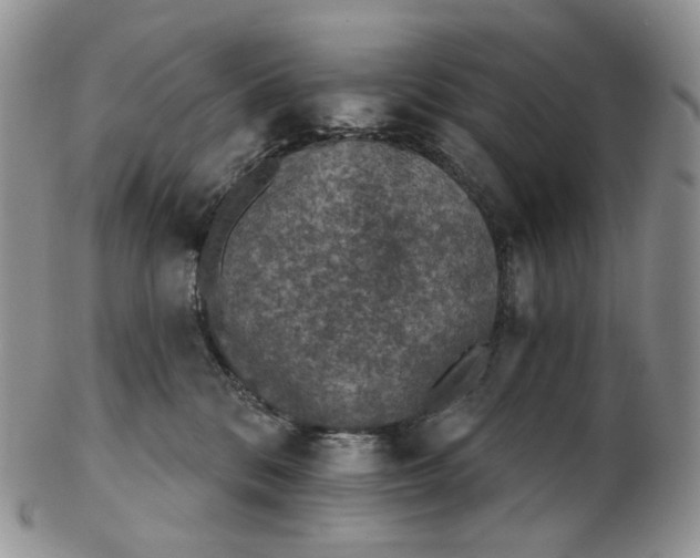 X0000102770328200809021035