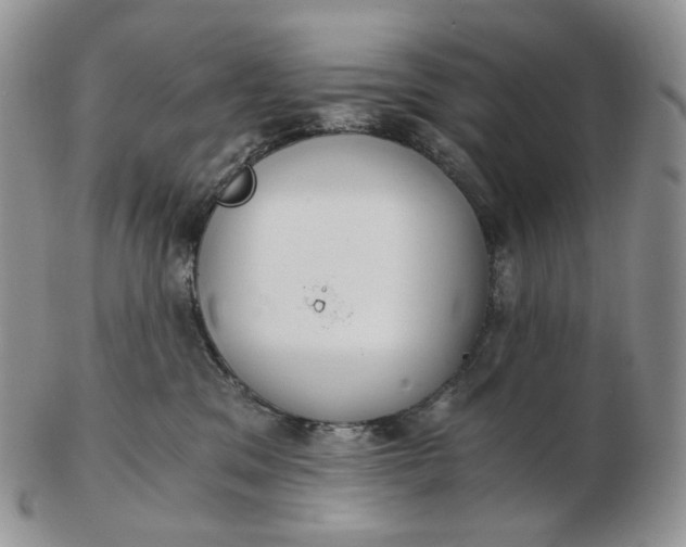 X0000102770329200809021035