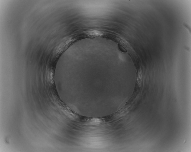 X0000102770330200809021035