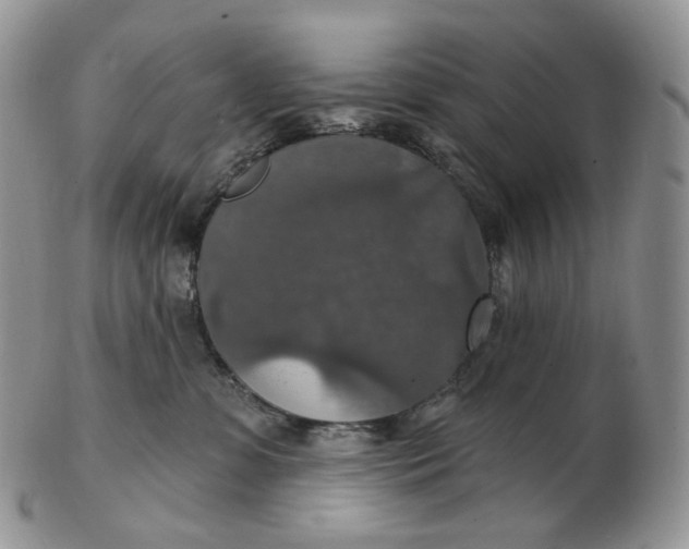 X0000102770331200809021035