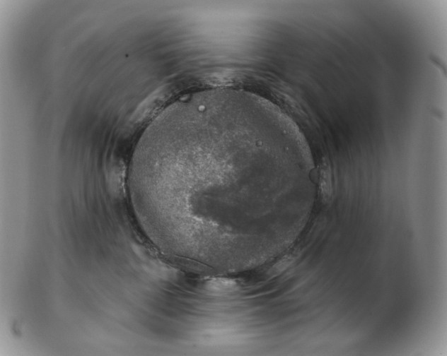 X0000102770332200809021035