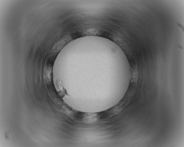 X0000102770334200809021035