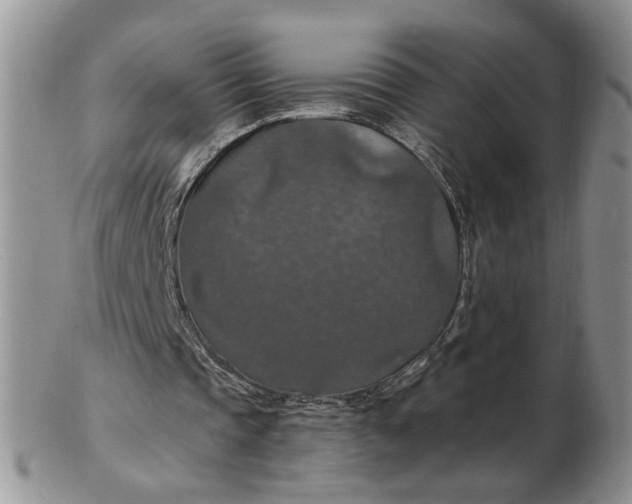 X0000102770337200809021034