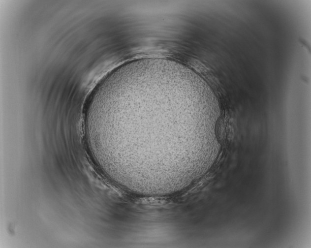 X0000102770338200809021034