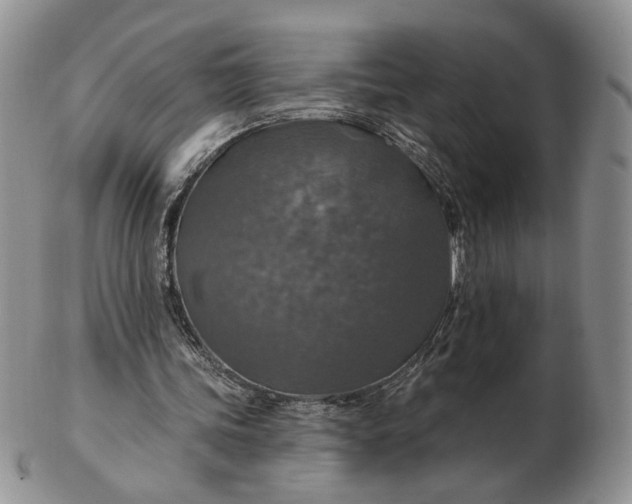 X0000102770339200809021034