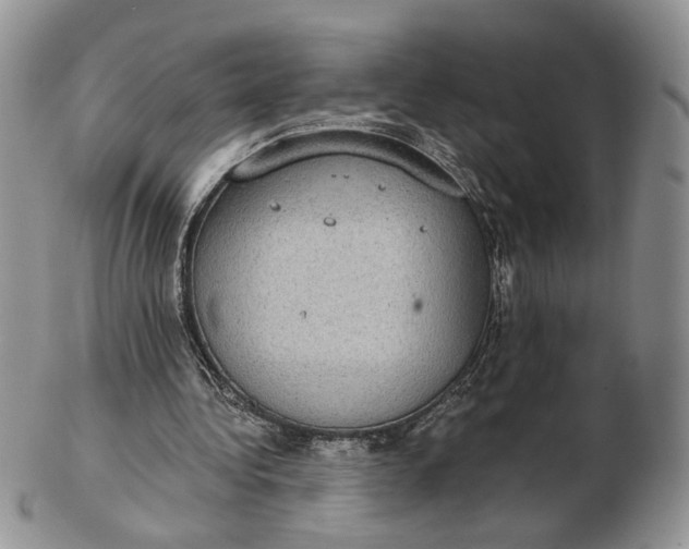 X0000102770340200809021034