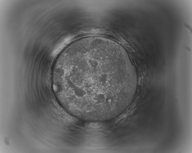 X0000102770341200809021034