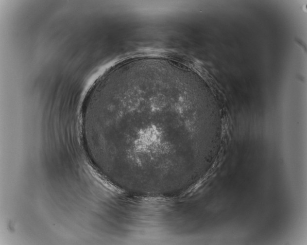 X0000102770342200809021034