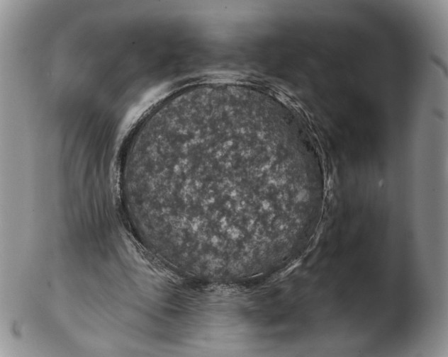 X0000102770343200809021034