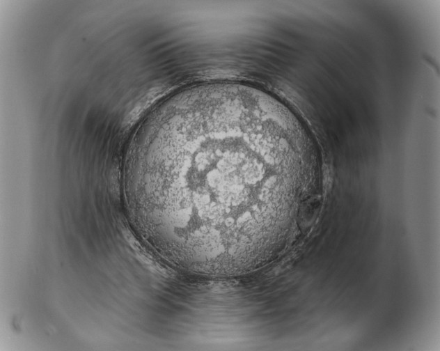 X0000102770345200809021034