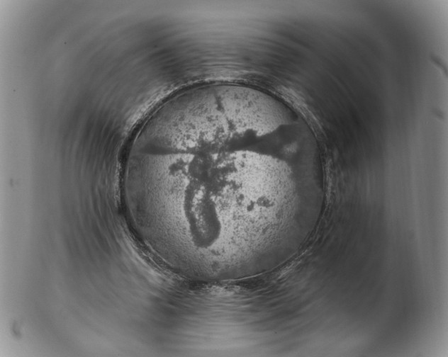 X0000102770346200809021034