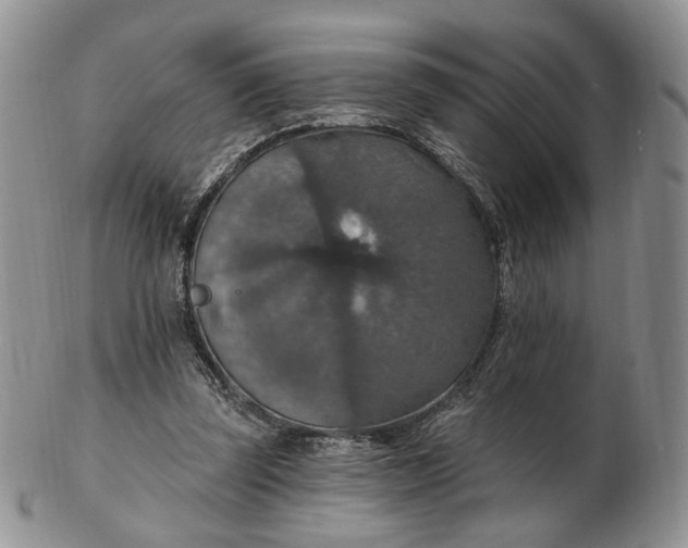 X0000102770347200809021034