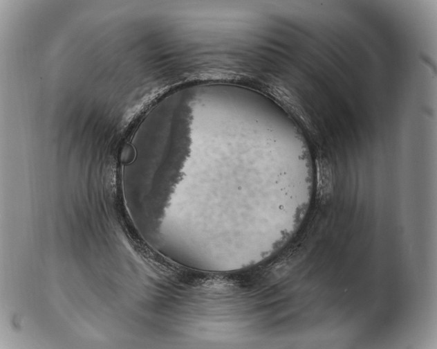 X0000102770348200809021034