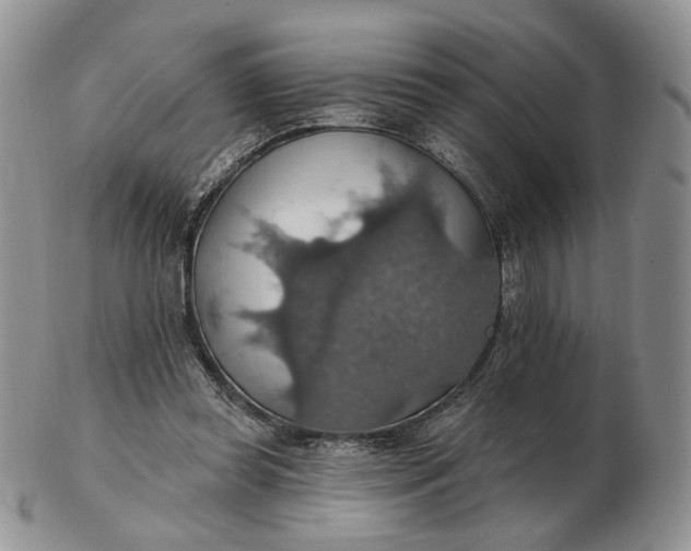 X0000102770349200809021034