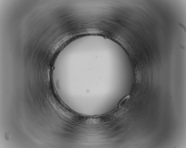 X0000102770350200809021034