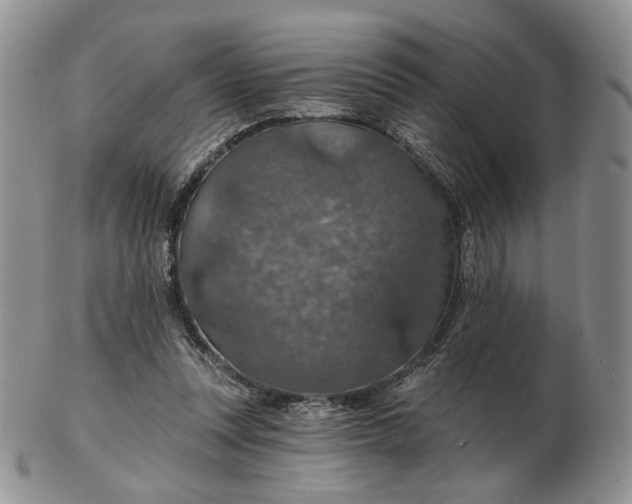 X0000102770351200809021034