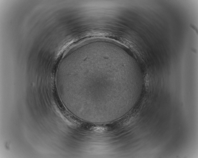 X0000102770352200809021034