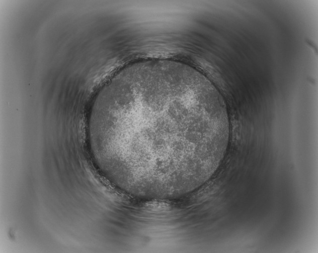 X0000102770354200809021034