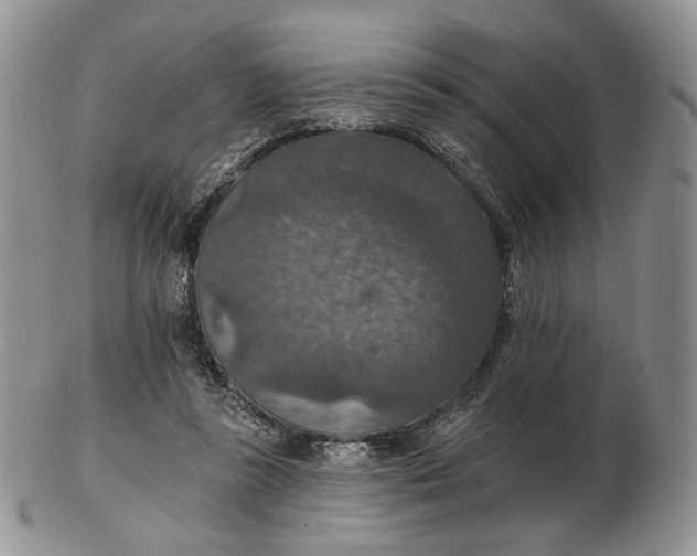 X0000102770355200809021034