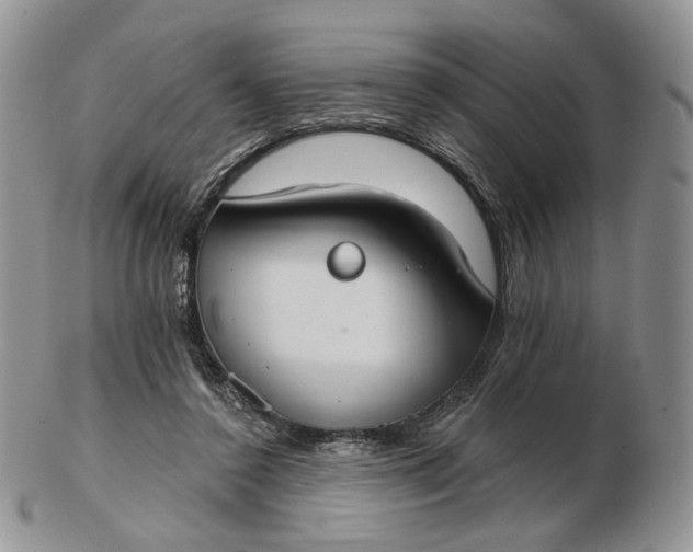 X0000102770356200809021034