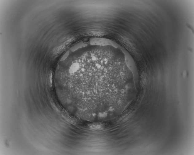 X0000102770358200809021034