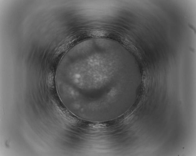 X0000102770359200809021034