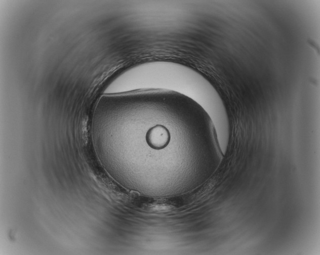 X0000102770360200809021034