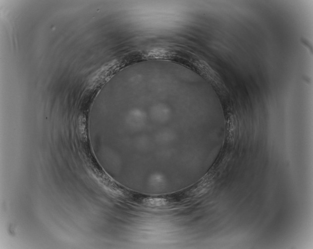 X0000102770361200809021034