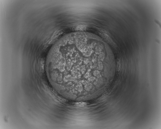 X0000102770363200809021034