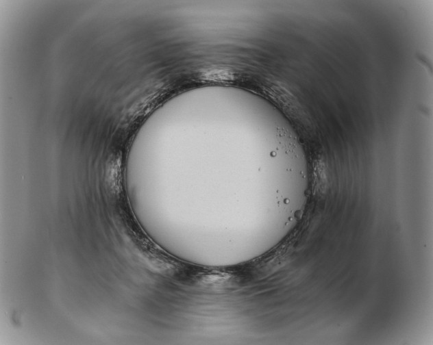 X0000102770364200809021035