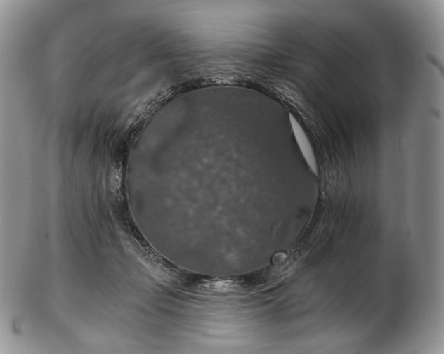 X0000102770365200809021035