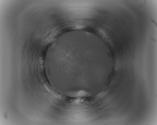 X0000102770366200809021035