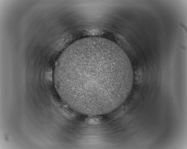 X0000102770368200809021035