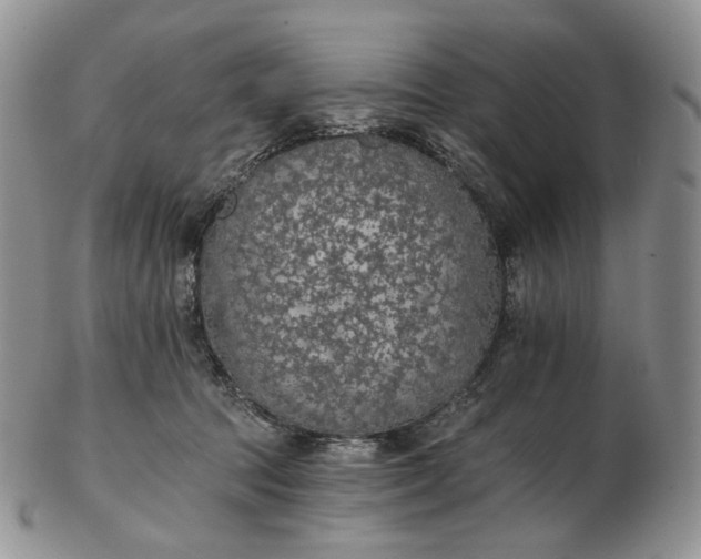 X0000102770369200809021035