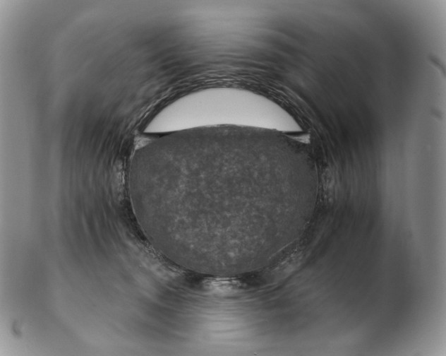 X0000102770372200809021035