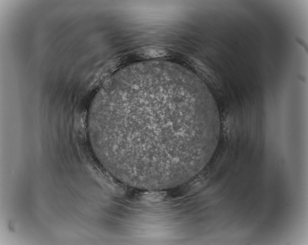 X0000102770373200809021035